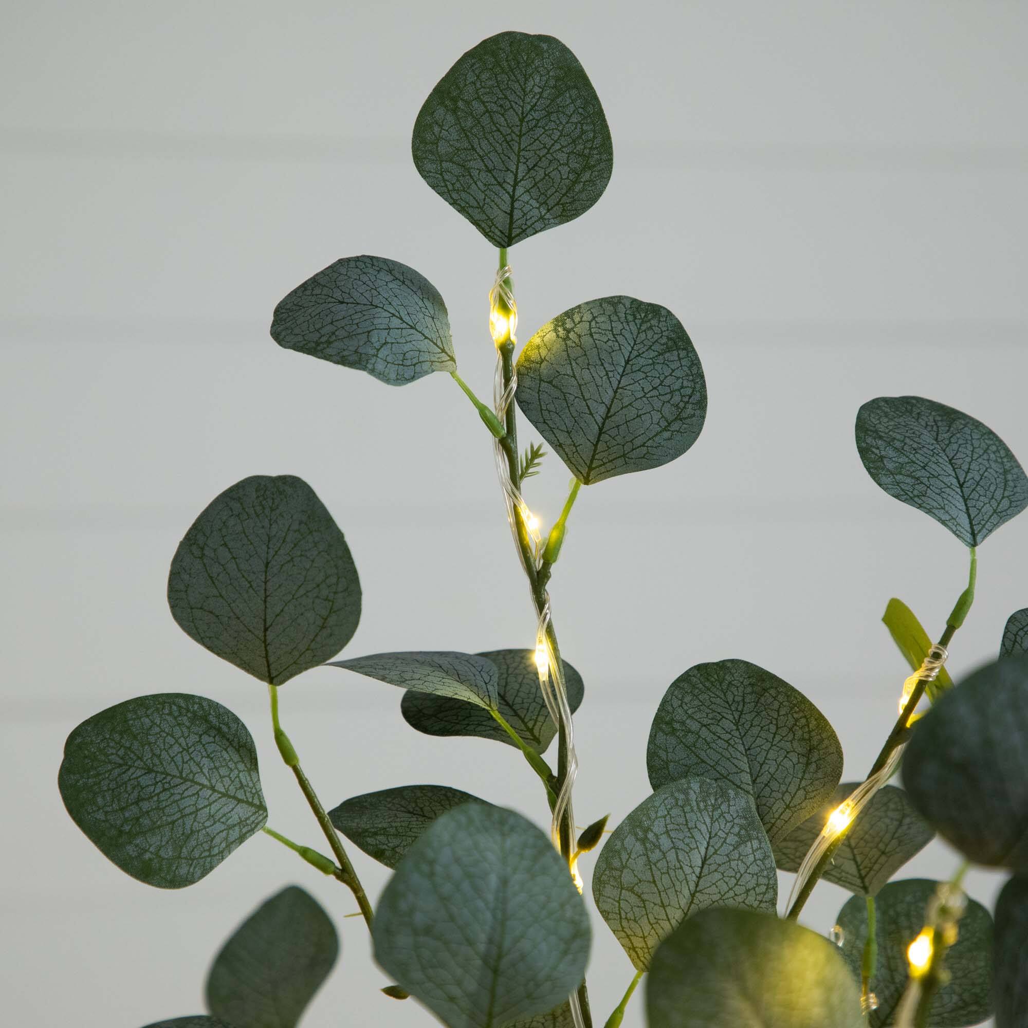 5ft. Pre-Lit Artificial Eucalyptus Tree with Warm White LED Lights